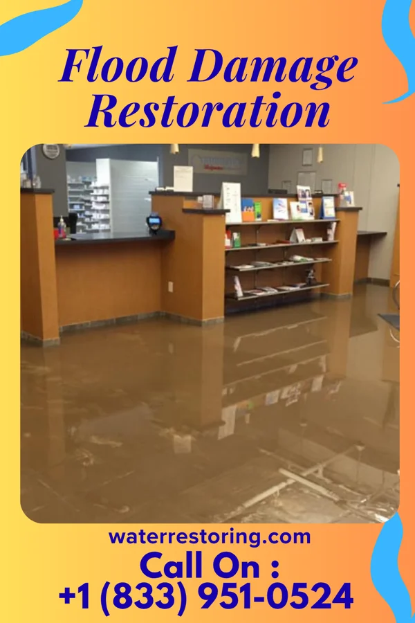 Flood Damage Restoration in Port Jefferson, NY