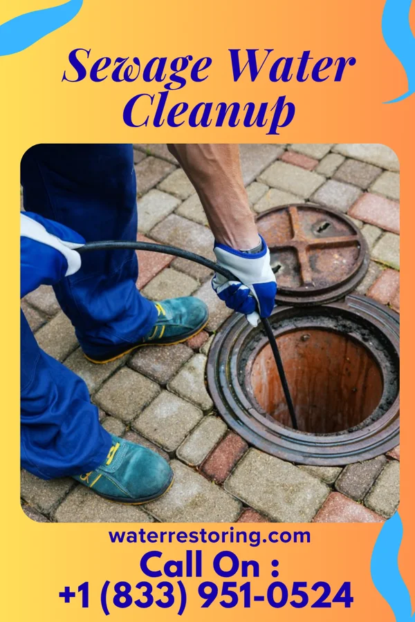 Sewage Water Cleanup in Port Jefferson, NY