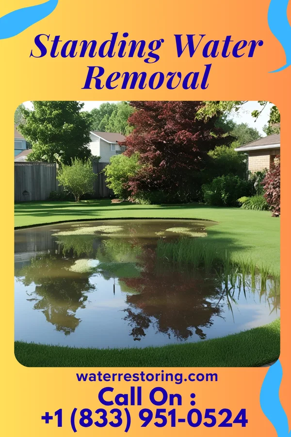 Standing Water Removal in Port Jefferson, NY